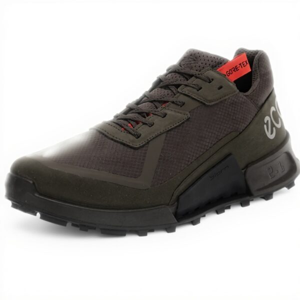 Chaussures running ECCO Biom 2.1 Homme imperméables légères