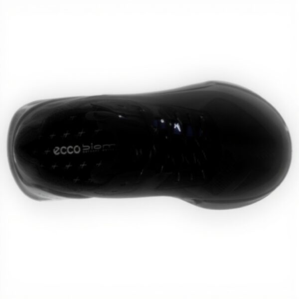 Chaussures de running ECCO Biom 2.1 Homme GORE-TEX légères