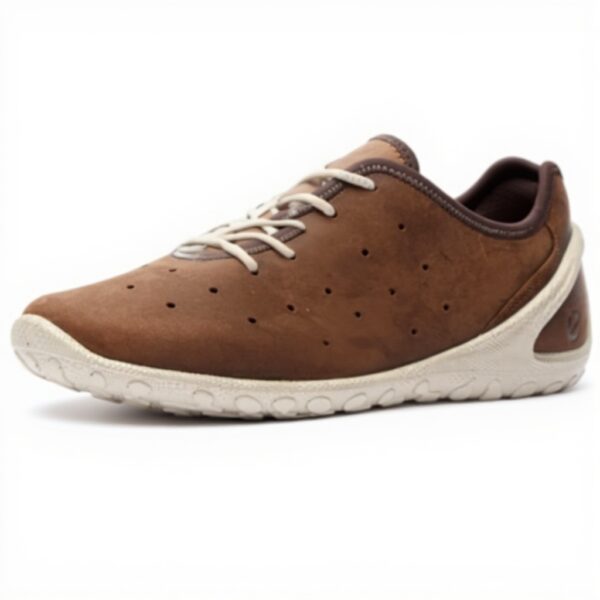 Baskets ECCO Biom Everyday Homme Cuir Confort Naturel