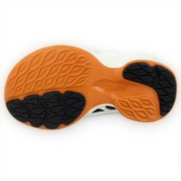 Chaussures randonnée ECCO Biom Fjuel homme cuir confortable