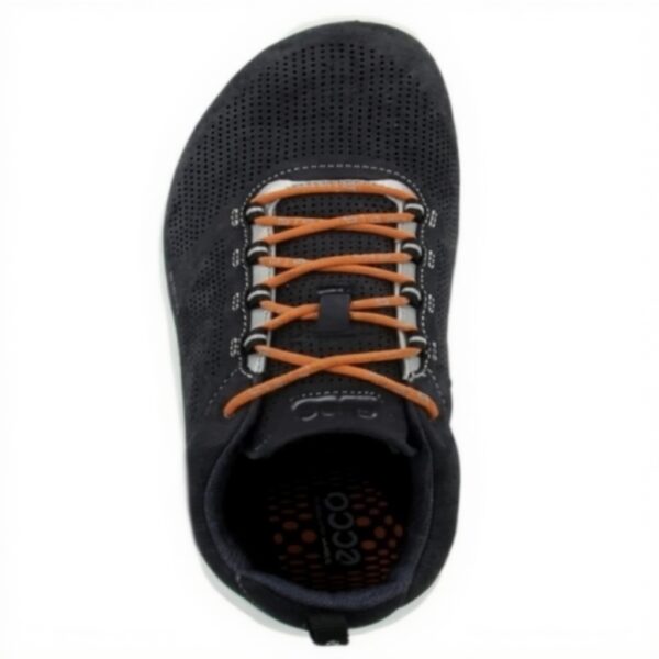 Chaussures randonnée ECCO Biom Fjuel homme cuir confortable