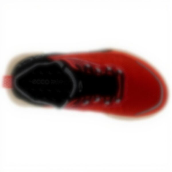 ECCO Biom 2.1 X Country Chaussures Course Homme Nubuck