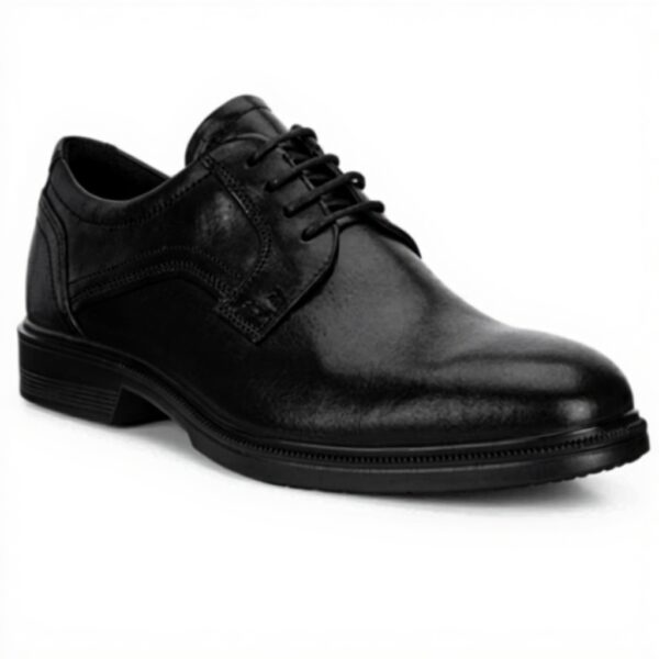 Chaussures Oxford ECCO Lisbon Homme Noir Cuir Confortable