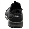 ECCO Terracruise Lt M Basket Homme Chaussure Sport