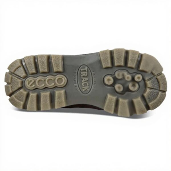 Chaussures randonnée ECCO Track 25 homme cuir GORE-TEX