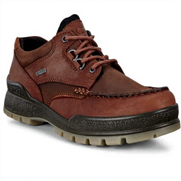 Chaussures randonnée ECCO Track 25 homme cuir GORE-TEX