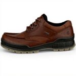 ECCO Track 25 Chaussures Randonnée Homme Cuir Gore-Tex